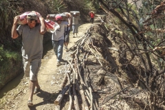 Princeton-Water-Supply-La-Pitajaya-Peru-Aug.-2015-Carrying-materials-with-community-members-up-to-the-springbox